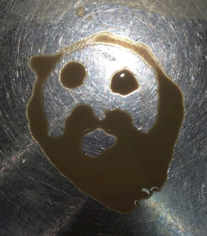 18. Mrlja u obliku bradatog čovjeka