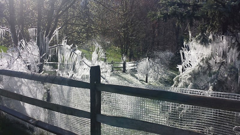 2. Moji susjedi su ostavili upaljene prskalice preko noći, a temperatura se spustila ispod nule. Sad imaju dvorište kao iz Narnije.