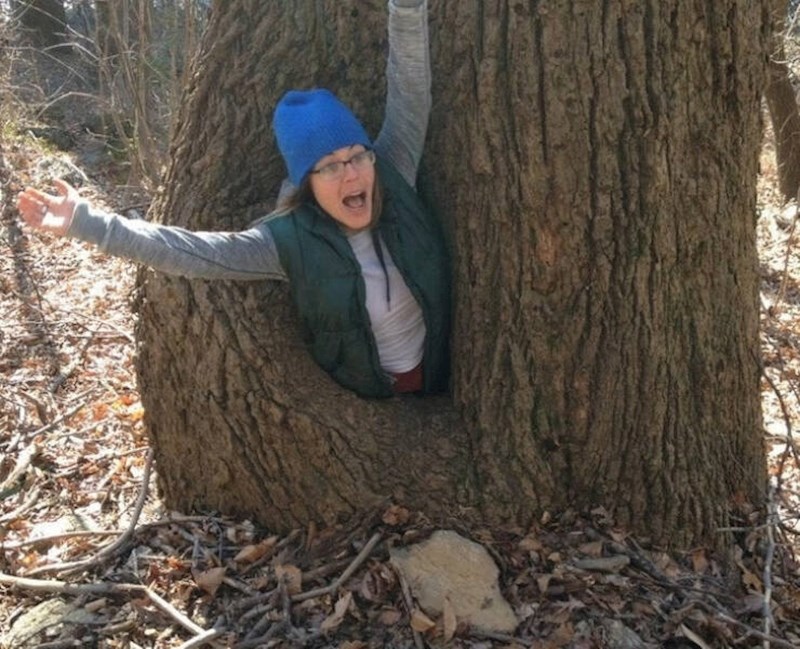 6. "Upomoć, drvo me proždire!"