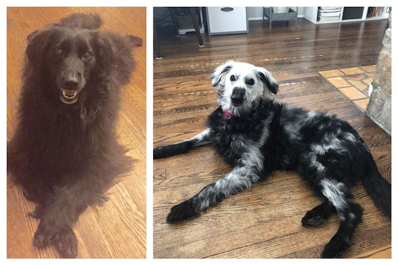 2. S godinama je postala kao Oreo keksić!