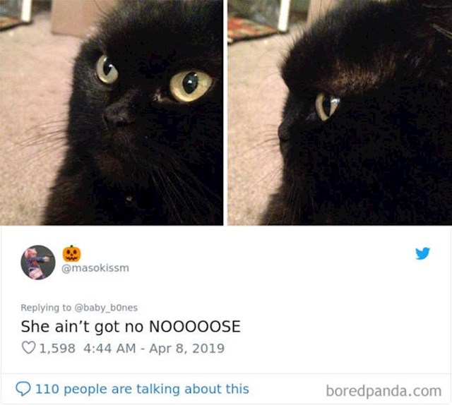 16.