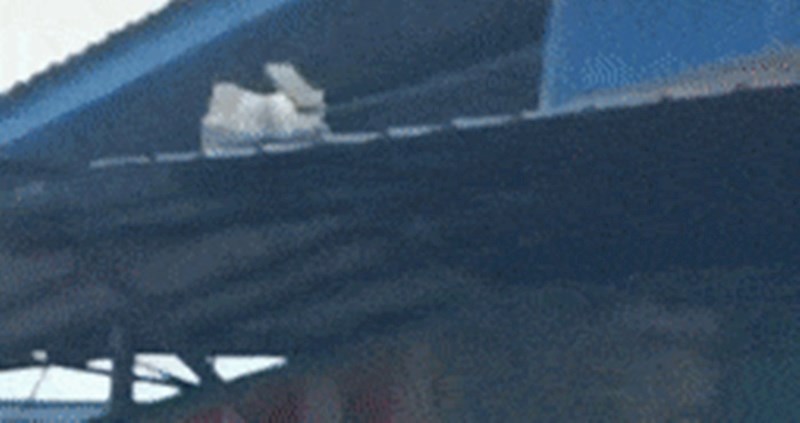 Mačka je izgubila jedan od svojih 9 života, ali to joj nije narušilo samopouzdanje