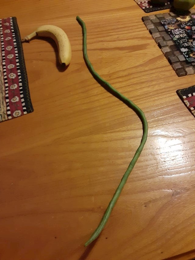 11. Ekstremno dugačka mahuna u usporedbi s bananom