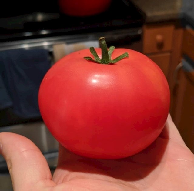 19. Savršena rajčica.