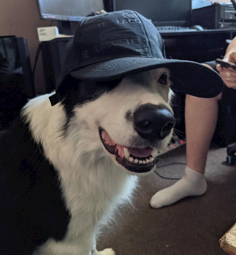 4. Jako kul dečko koji uopće ne kuži da je kul.