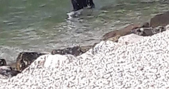 Kupač se odlučio dobro zaštititi od svih opasnosti koje vrebaju i do suza nasmijao tisuće ljudi
