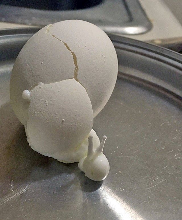 5. Jaje je puklo pri kuhanju, a iz njega kao da je izašao puž