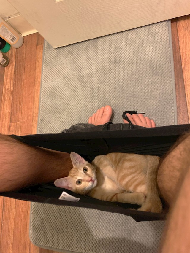 15.