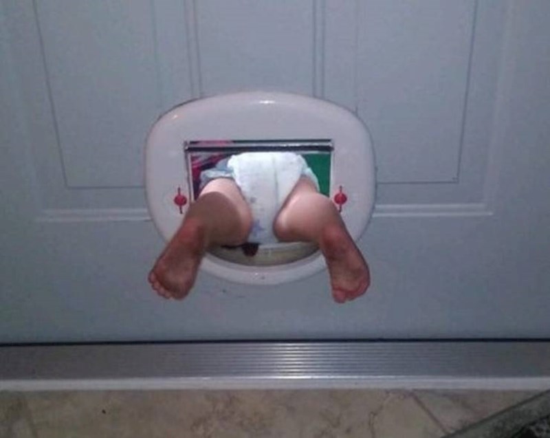 1. Otkrila je prolaz za mačku