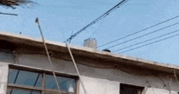 Nećete vjerovati kad vidite pomoću čega se ovaj radnik spustio s krova kao niz tobogan