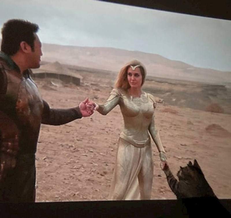 12. Maca pokušava uhvatiti Angelinu Jolie za ruku😜