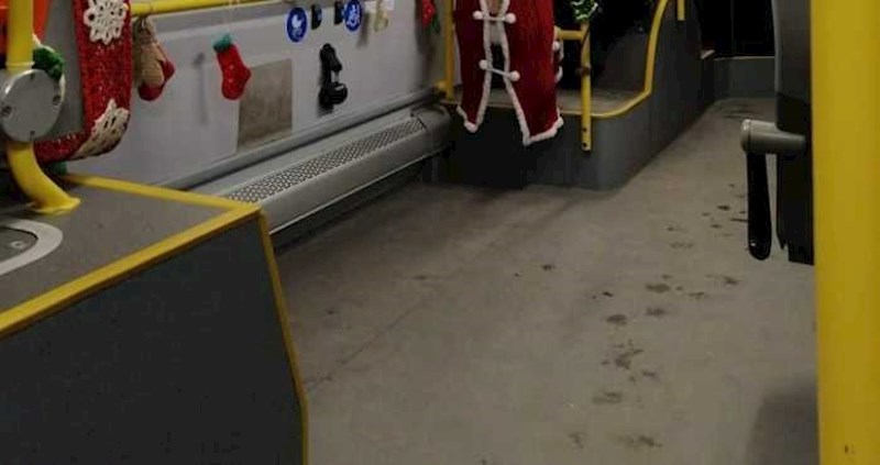 Božićni ukrasi iz jednog autobusa u Poljskoj nasmijali su tisuće, odmah ćete vidjeti zašto