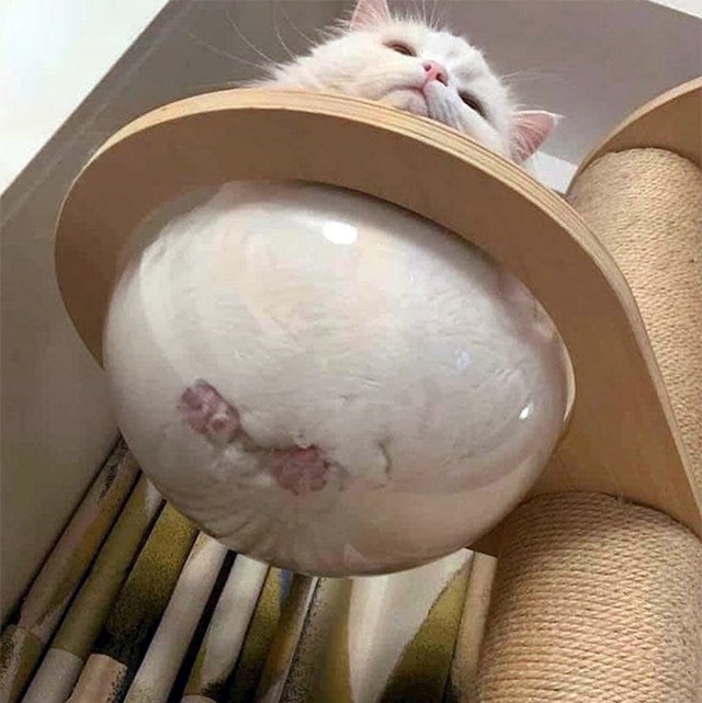 21.