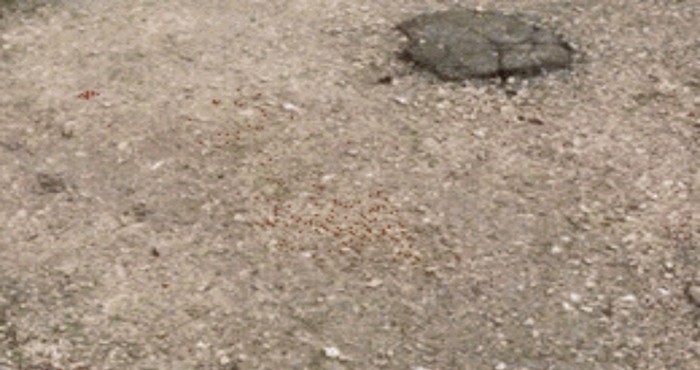 Dočekalo ga je urnebesno iznenađenje kad se vratio po parkirani auto
