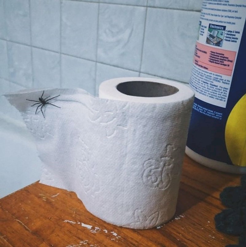 9. Najgore jutro ikad