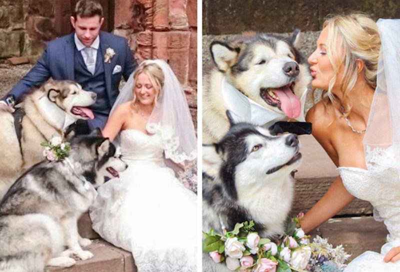 13. "Naši psi bili su nam kumovi!"