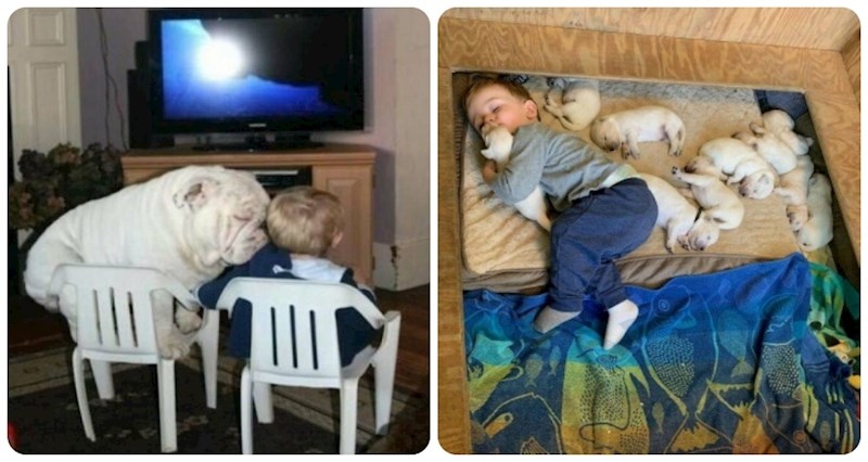 17 fotki koje dokazuju da postoji posebna veza između djece i kućnih ljubimaca