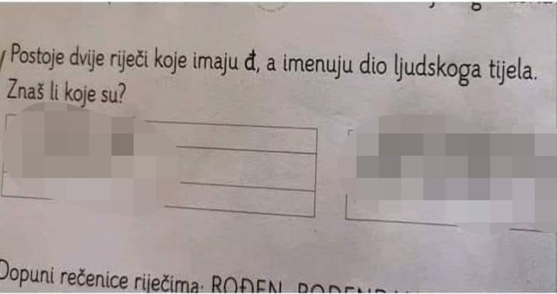 Morate vidjeti urnebesan odgovor ovog školarca na pitanje u testu iz prirode i društva