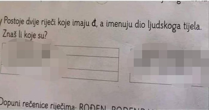 Morate vidjeti urnebesan odgovor ovog školarca na pitanje u testu iz prirode i društva