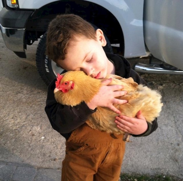 15. "Naše dijete obožava kokoši!"