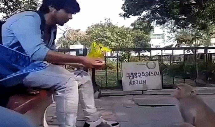 Ponudio je majmunčiću jedan slatkiš, no on je imao plan kako da dobije puno više