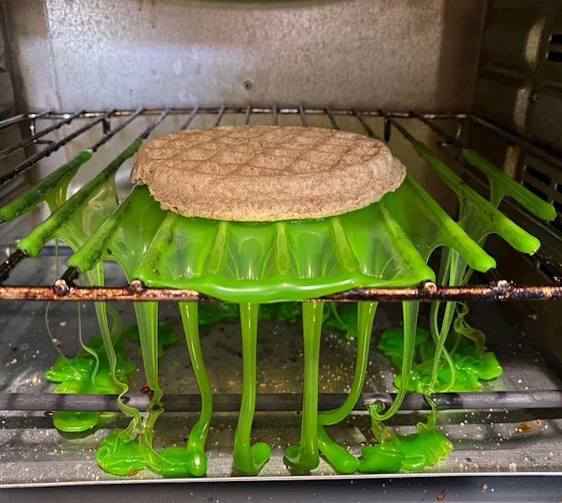 4. Počela je panično dozivati mamu i vikati: "Moj vafl ima zelenu kakicu!"