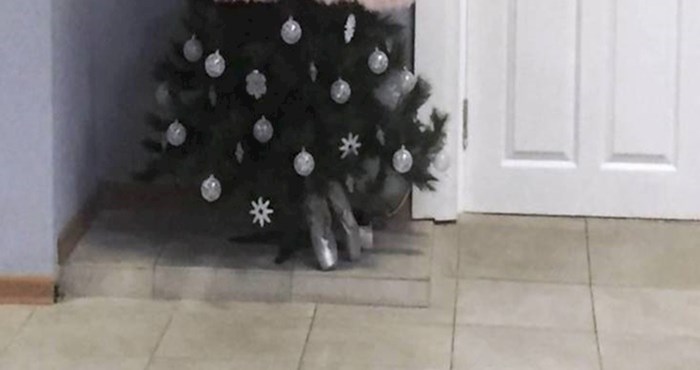 Ovo je vjerojatno najčudnije božićno drvce koje ste ikad vidjeli