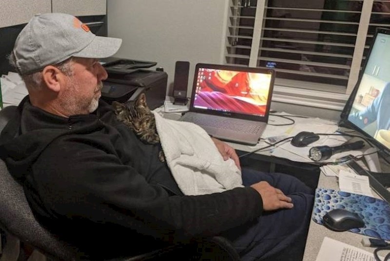 16. Tata je oduvijek tvrdio da ne voli životinje, a onda je jedan dan na opće iznenađenje svih ukućana - donio mačku!