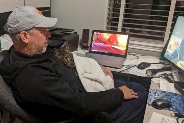 16. Tata je oduvijek tvrdio da ne voli životinje, a onda je jedan dan na opće iznenađenje svih ukućana - donio mačku!