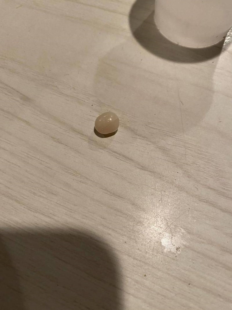 19. Moja mama pronašla je ovaj biser u jednoj školjci s naše pizze sa školjkama.