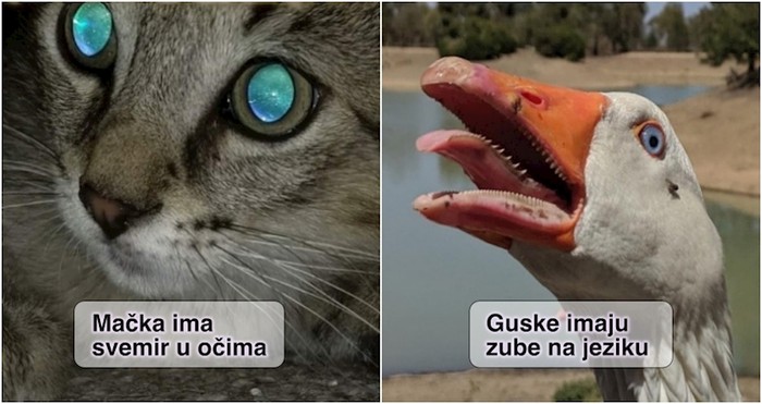 15 impresivnih prizora koji dokazuju da je priroda najbolja umjetnica