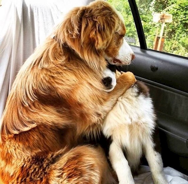 8. Ljubav nas čini jačima.❤️