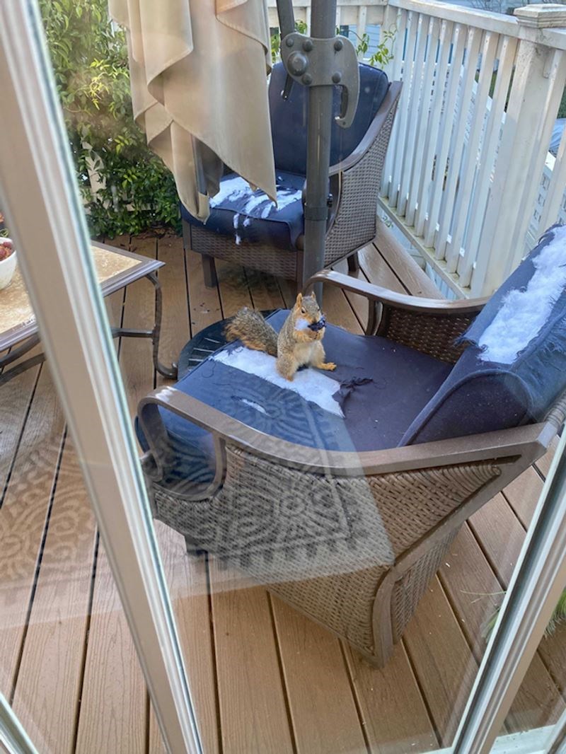 15. "Nadam se da vam se nisu sviđali ovi jastuci..."