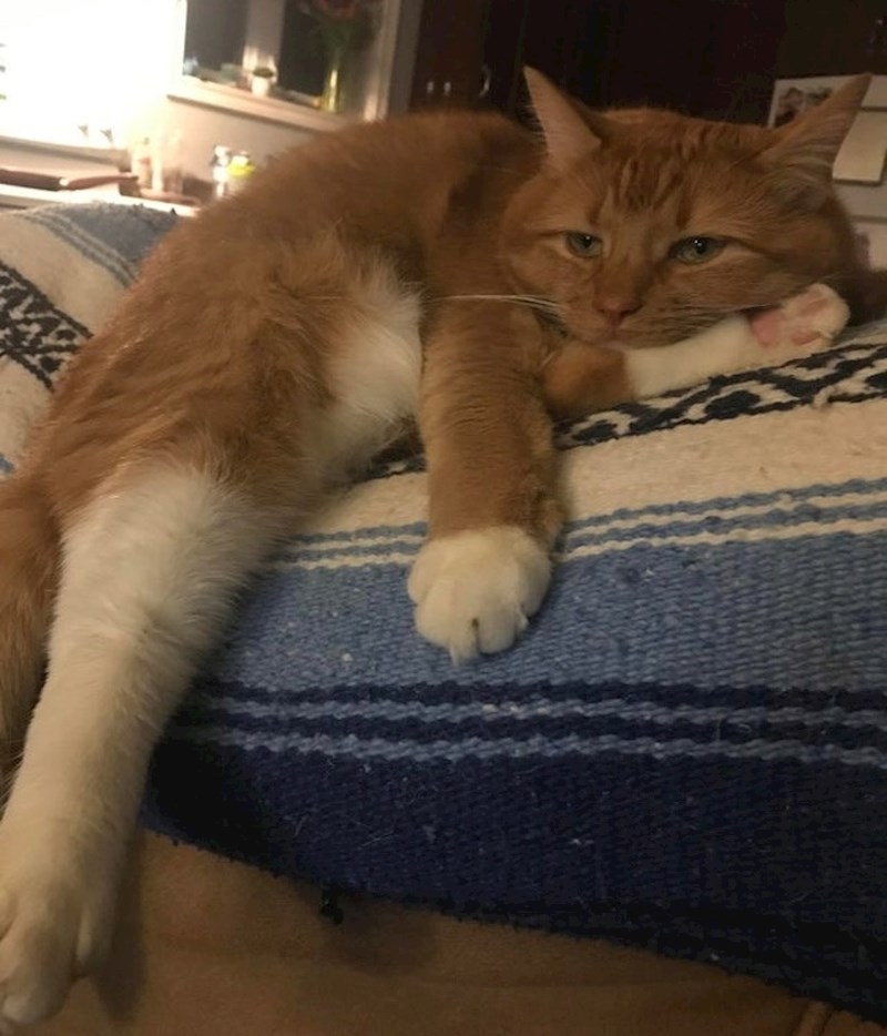 "Život je depresivan..."