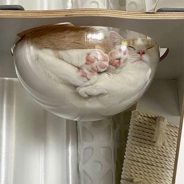 10.