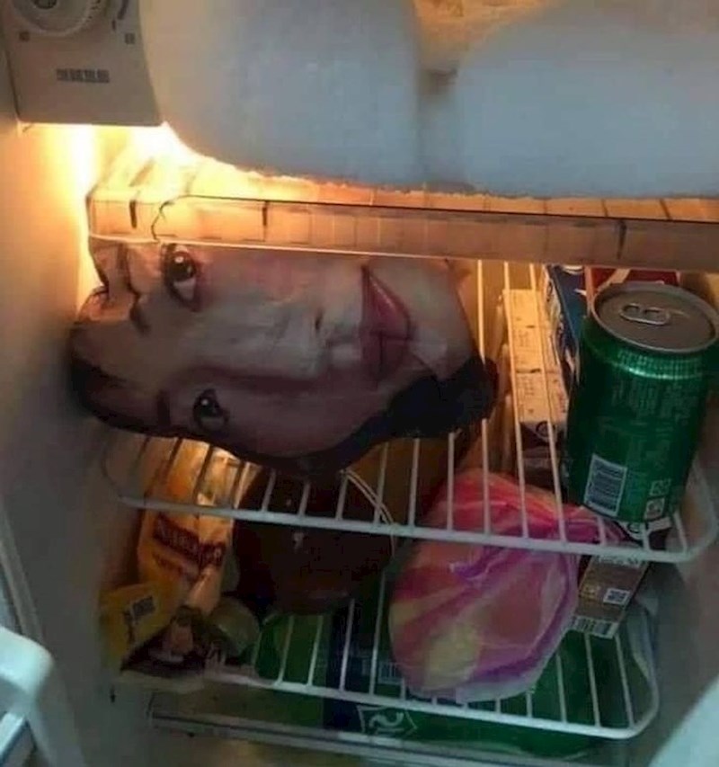 Evo zašto ne treba zamatati hranu u novine.