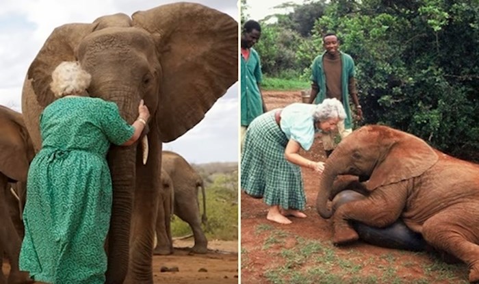 VIDEO Upoznajte hrabru ženu koja je spasila život stotinama slonova