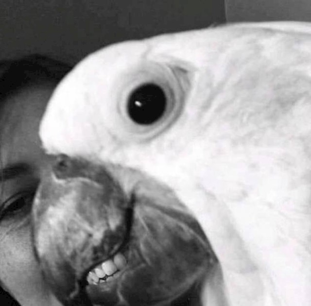 6.