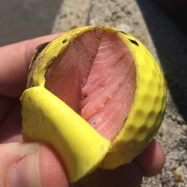 Čudno meso ili golf loptica?