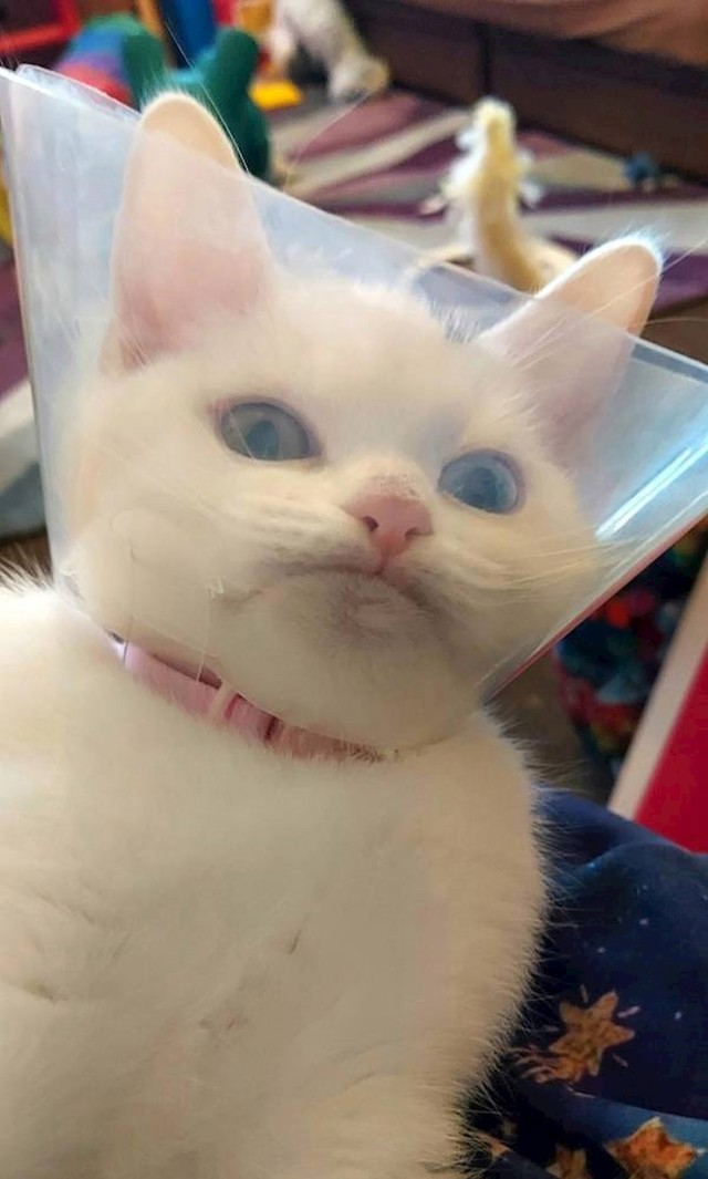 17.