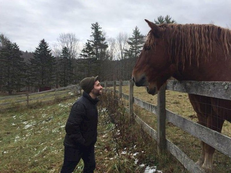 8. Konj s duplom gubicom.