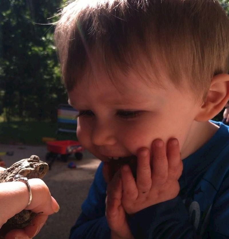 14. Prvi susret sa žabom