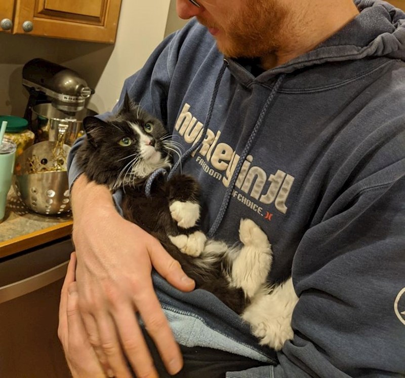 13. Obožava da ju se ljulja dok ne utone u san.