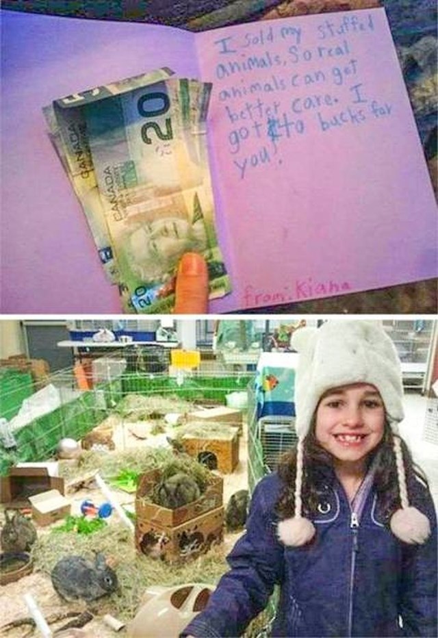 5. "Kćer me pitala može li prodati svoje plišane igračke kako bi donirala novac lokalnom skloništu za životinje."