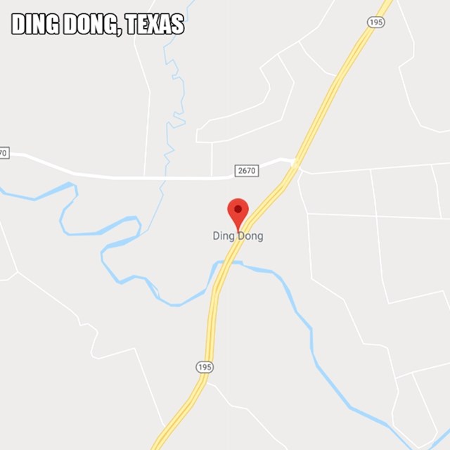 18. "Ding dong"