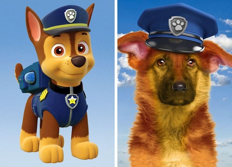 3. Chase (PAW Patrol)