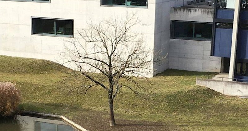 Ovako to izgleda kad se priroda malo našali na svoj račun