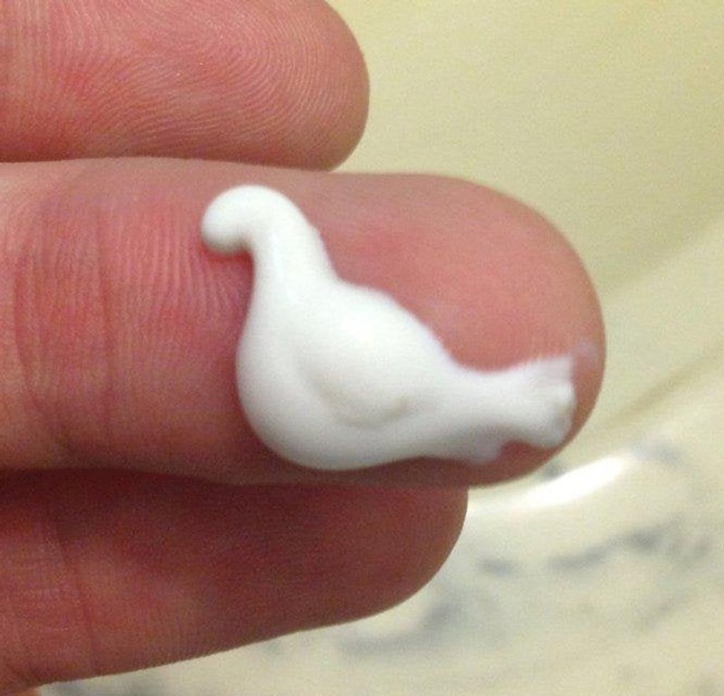 12. Istisnuo je regenerator i iz njega je izašao golub