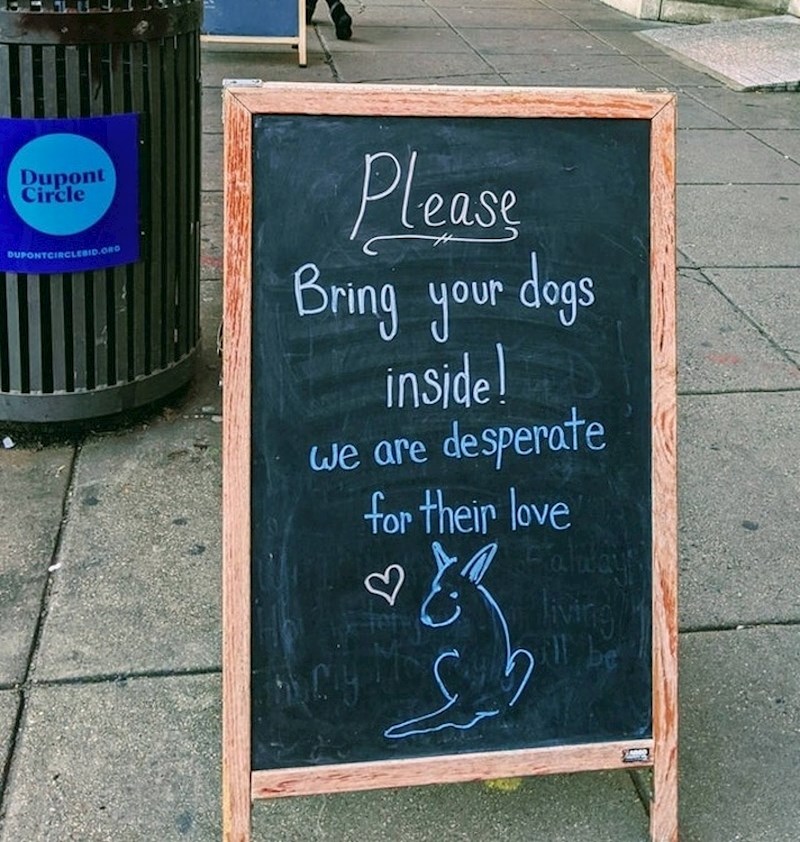 10. Poziv za sve pse.