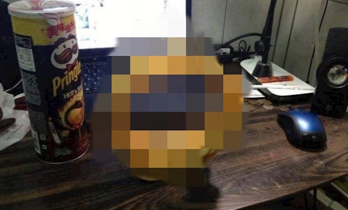 Kakav trud, lik je od Pringlesa napravio nešto ludo